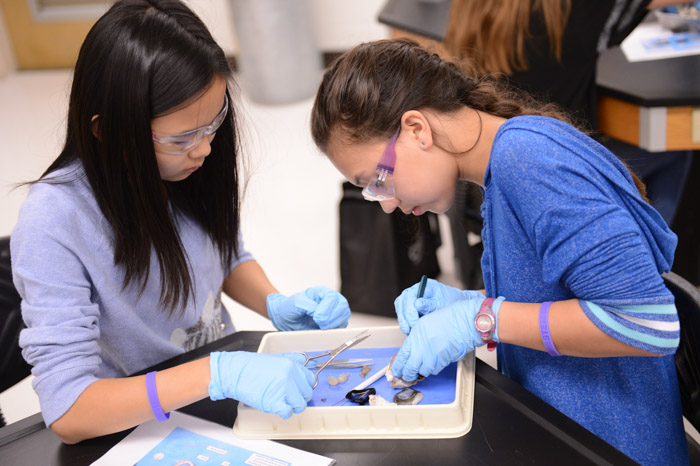 STEM Within Reach, formerly known as STEM GiRLS, event attendees dissect a cow eyeball. 