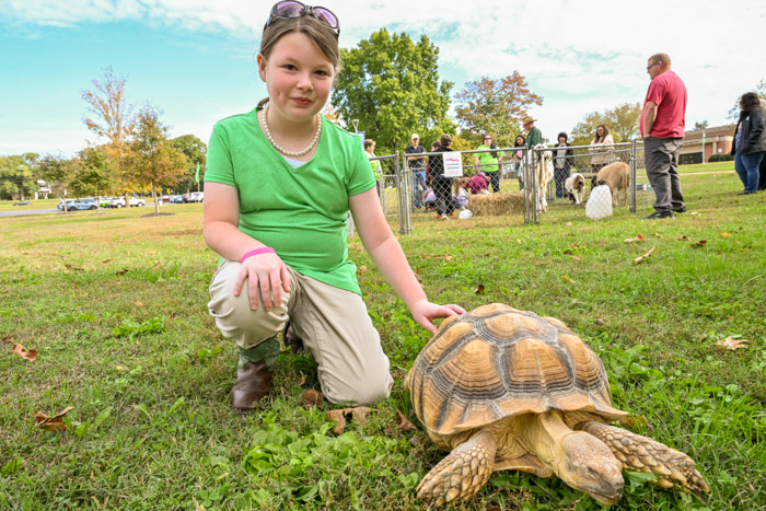 A STEM Within Reach student pets Kelvin the tortoise during a showcase of several live animals.